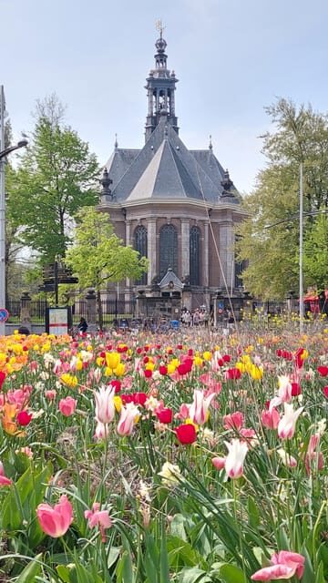 Historical Tour of The Hague - What to Expect During the Tour