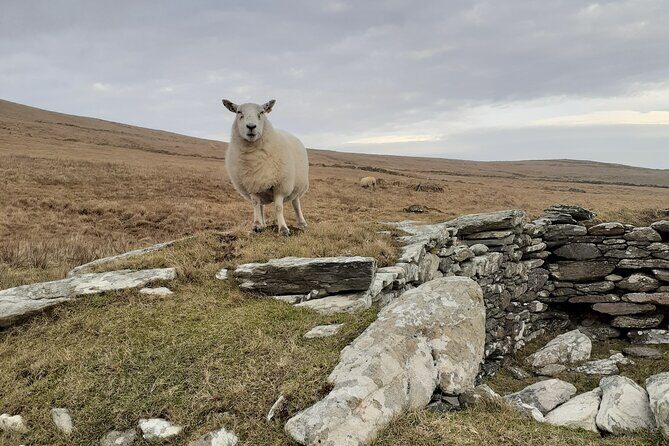 Historical Walking Tours in Valentia and the Skellig Region - Why This Tour Stands Out
