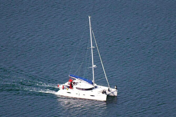 History Fjordcruise Around The Isle Of Tromso - Luxury Catamaran - Value for Money