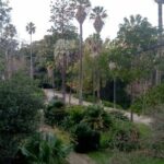 History-mistery of Lisbon (secrets societies and black arts) - Practical Details and Tips