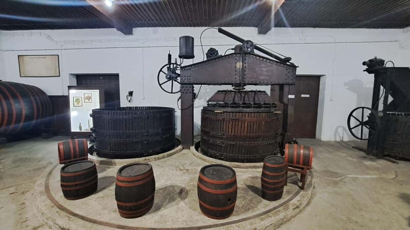 HISTORY WINE & ROYALTY (Avala mountain Topola Oplenac) - Who Should Consider This Tour?