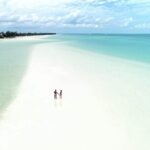 Holbox Island Tour Golf Cart Ferry with Lunch and Transportation - Who Should Book This Tour?