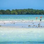 Holbox Island Tour in Mexico with Lunch - Transportation & Group Size