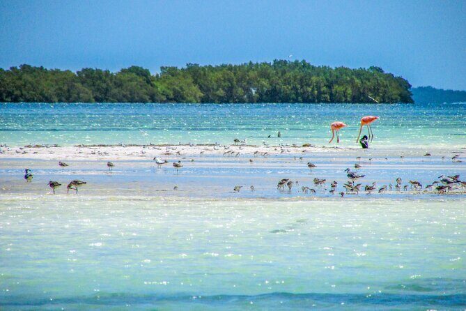 Holbox Island Tour in Mexico with Lunch - Transportation & Group Size