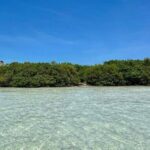 Holbox: Islas Pajaros, Yalahau & Isla de la Pasión with pick up - Practical Aspects and What to Expect