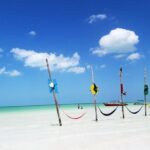 Holbox tour from Cancun and Riviera Maya - Final Thoughts: Is This Tour Right for You?