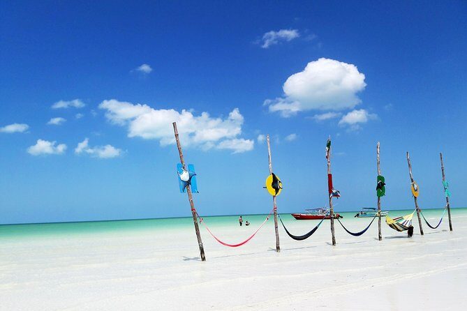 Holbox tour from Cancun and Riviera Maya - Final Thoughts: Is This Tour Right for You?