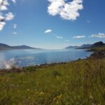 Hólmanes: Guided Nature Walk - What Is the Hólmanes Guided Nature Walk All About?