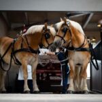 Home of Carlsberg Entry Ticket + Exploring Carlsberg Tour - What To Expect During Your Visit