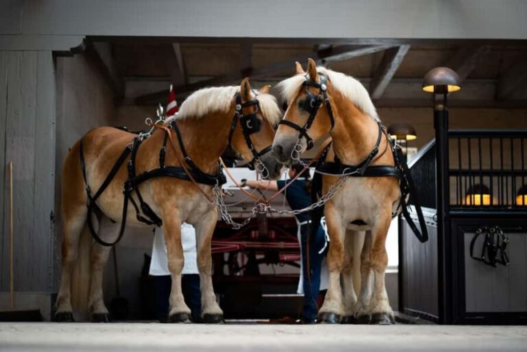 Home of Carlsberg Entry Ticket + Exploring Carlsberg Tour - What To Expect During Your Visit