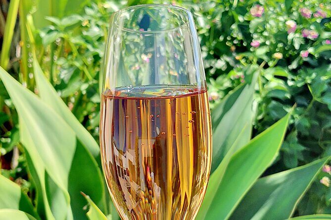 Homemade algarvian with a twist gourmet experience - Who Should Consider This Experience?