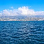 Hop-on Hop-off Bus Tour and Catamaran Whale & Dolphin Watching - What’s Included and What’s Not