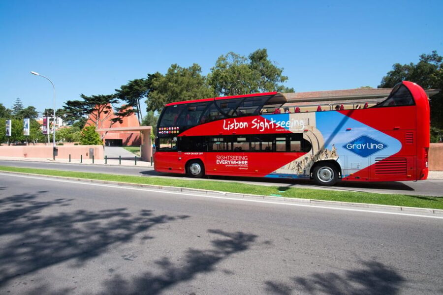 Hop on Hop Off Bus with Oceanario Ticket - Final Thoughts: Who Should Consider This Experience?