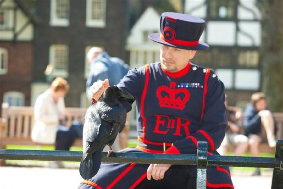 Hop on Hop off London Bus Tour & Tower of London - The Practicalities