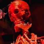 Horror on Hallows Eve - The Experience: What to Expect