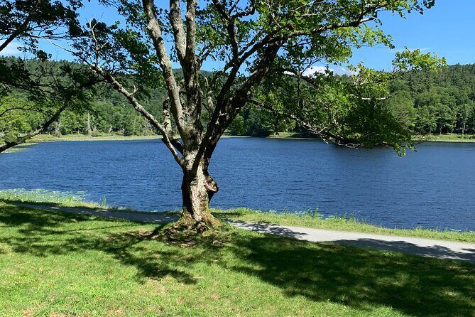 Horse and Carriage Ride through Moses H. Cone Park - What to Expect on the Ride