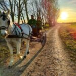 Horse Carriage Tour and Wine Tasting in Lazise - Frequently Asked Questions