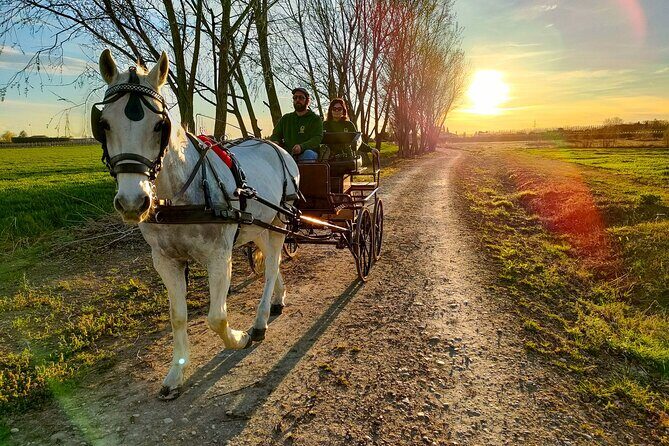 Horse Carriage Tour and Wine Tasting in Lazise - Frequently Asked Questions