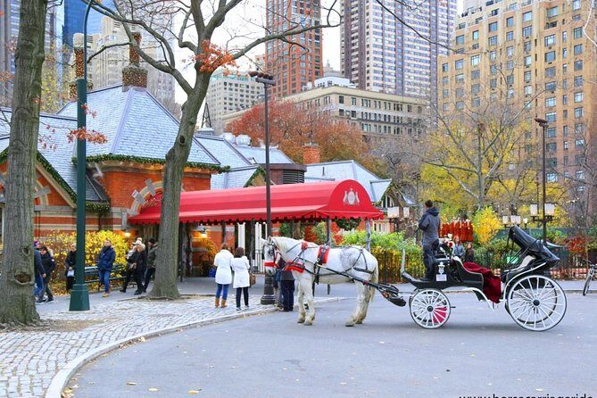 Horse Carriage Tour in New York City's Central Park Small Loop - Who Should Consider This Tour?