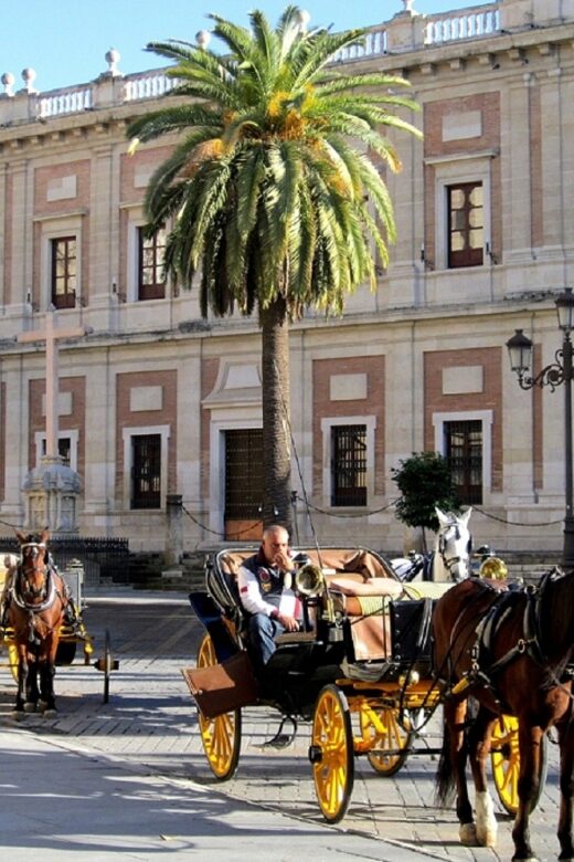 Horse-Drawn Carriage Ride Through Seville - Who Is This Tour Best Suited For?