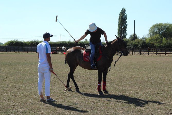 Horse & Polo in Windsor, UK - Final Thoughts: Is It Worth It?