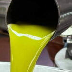 Horse ride, Olive Oil and local foods tasting in a Tuscan farm - Who Is This Tour Best For?