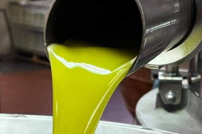 Horse ride, Olive Oil and local foods tasting in a Tuscan farm - Who Is This Tour Best For?