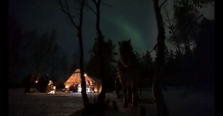 Horse riding and dining experience - The Stop: Fire, Food, and Stories