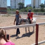 Horse Riding and Training Experience on a Farm in Antalya - The Itinerary: What to Expect