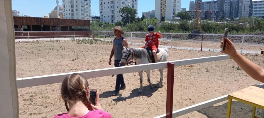 Horse Riding and Training Experience on a Farm in Antalya - The Itinerary: What to Expect