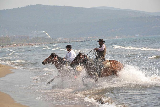 Horse Riding From Kusadasi Port / Hotels - What Travelers Say