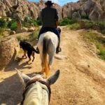 Horse Riding in Cappadocia in fairy chimeys - What’s Included and How It Works