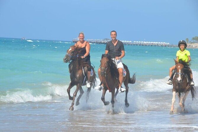 Horse Riding in Manavgat Side Forest and Beach - Final Thoughts on the Horseback Riding in Manavgat