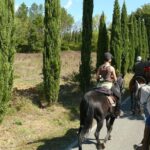 Horse Riding in Tuscany for Experienced Riders: Full-day Trail Ride - Practical Tips and Considerations