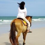 Horse Riding on the Beach in Side - Detailed Look at the Itinerary