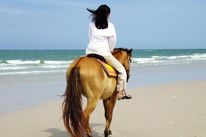 Horse Riding on the Beach in Side - Detailed Look at the Itinerary