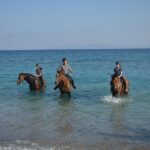 Horse riding on the Beach, Rhodes - The Details: How the Tour Runs