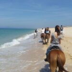 Horse Riding on the Beach Tour - What Travelers Say