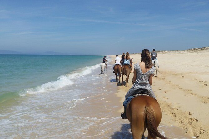 Horse Riding on the Beach Tour - What Travelers Say