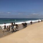 Horse riding on the beach, with private transfer from Lisbon - What the experience entails