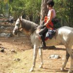 Horse Riding Tour in Bodrum with Hotel Pick Up - Why This Tour Offers Good Value