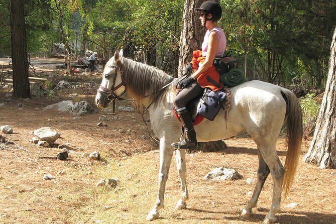 Horse Riding Tour in Bodrum with Hotel Pick Up - Why This Tour Offers Good Value
