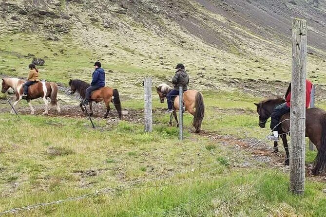 Horse Riding Tour in Reykjadalur (Smoky Valley)-All Riding Levels - Practical Details You Need to Know
