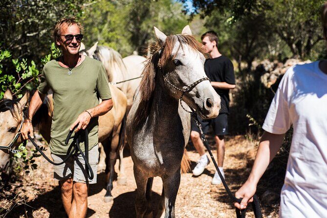 Horse Sanctuary: A nature walk with Rescued Horses by your side - The Itinerary and Highlights