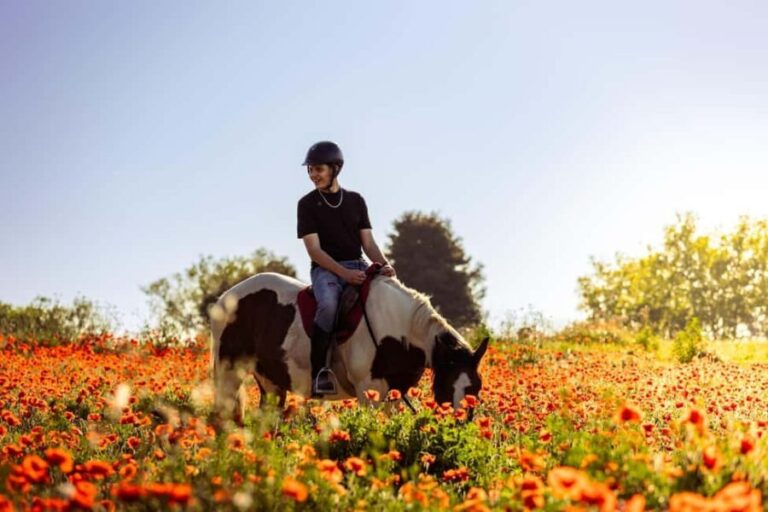 Horse Sanctuary in Rome - The Scenic Ride and Historical Touchpoints