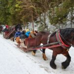 Horse Sleigh 2-3h Ride with Hot Springs or Zakopane Combos - The Sleigh Ride: Snowy Magic