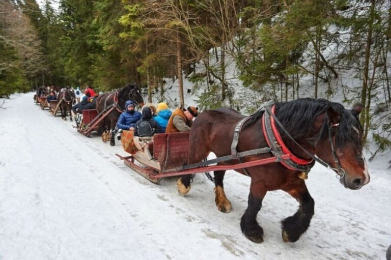 Horse Sleigh 2-3h Ride with Hot Springs or Zakopane Combos - The Sleigh Ride: Snowy Magic