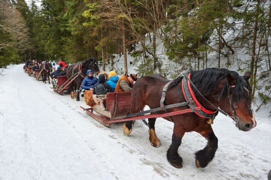 Horse Sleigh 2-3h Ride with Hot Springs or Zakopane Combos - The Sleigh Ride: Snowy Magic