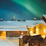 Horse Sleigh Ride Under The Night Sky in Apukka Resort, Rovaniemi - Who Will Love This Tour?