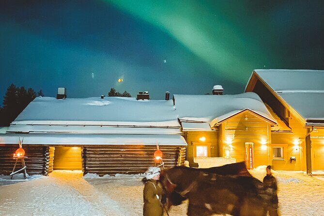 Horse Sleigh Ride Under The Night Sky in Apukka Resort, Rovaniemi - Who Will Love This Tour?
